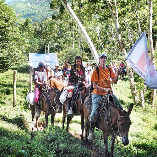 Operazione Colomba: bandiera della pace e maglietta arancio